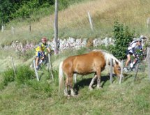 DSC08689 : Ardéchoise 2015