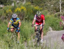 IMG 1515 : Mont Chauve 17 05 2015