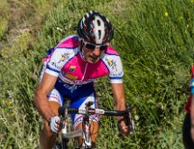 IMG 1553 : Mont Chauve 17 05 2015