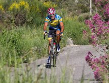 IMG 1579 : Mont Chauve 17 05 2015