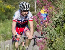 IMG 1605 : Mont Chauve 17 05 2015