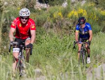 IMG 1620 : Mont Chauve 17 05 2015