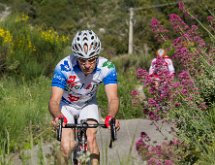 IMG 1649 : Mont Chauve 17 05 2015