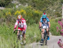 IMG 1652 : Mont Chauve 17 05 2015