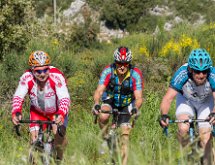 IMG 1653 : Mont Chauve 17 05 2015