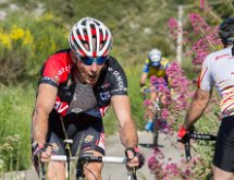 IMG 1660 : Mont Chauve 17 05 2015