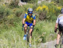 IMG 1662 : Mont Chauve 17 05 2015