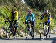 DSC03369 : Mont des Mules 08/02/2015