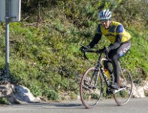 DSC03410 : Mont des Mules 08/02/2015