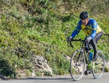 DSC03419 : Mont des Mules 08/02/2015