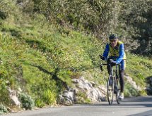 DSC03422 : Mont des Mules 08/02/2015