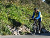 DSC03423 : Mont des Mules 08/02/2015