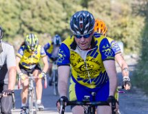 IMG 1399 : Mont Chauve 17 05 2015