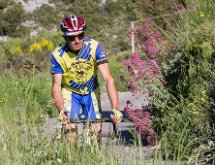 IMG 1424 : Mont Chauve 17 05 2015