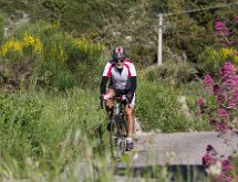 IMG 1432 : Mont Chauve 17 05 2015