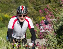 IMG 1433 : Mont Chauve 17 05 2015