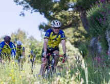 IMG 1435 : Mont Chauve 17 05 2015