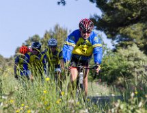 IMG 1436 : Mont Chauve 17 05 2015