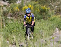 IMG 1450 : Mont Chauve 17 05 2015