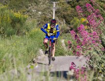 IMG 1451 : Mont Chauve 17 05 2015