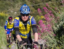 IMG 1452 : Mont Chauve 17 05 2015