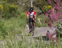 IMG 1461 : Mont Chauve 17 05 2015