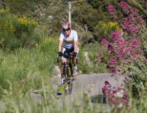 IMG 1472 : Mont Chauve 17 05 2015