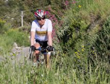 IMG 1473 : Mont Chauve 17 05 2015