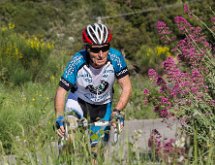 IMG 1476 : Mont Chauve 17 05 2015