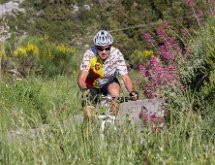 IMG 1482 : Mont Chauve 17 05 2015