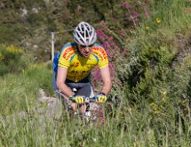 IMG 1483 : Mont Chauve 17 05 2015