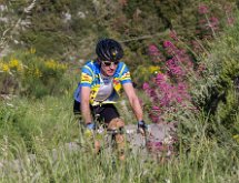 IMG 1484 : Mont Chauve 17 05 2015