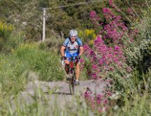 IMG 1485 : Mont Chauve 17 05 2015