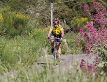 IMG 1490 : Mont Chauve 17 05 2015