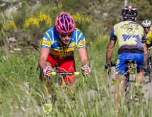 IMG 1495 : Mont Chauve 17 05 2015