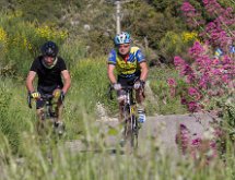 IMG 1497 : Mont Chauve 17 05 2015