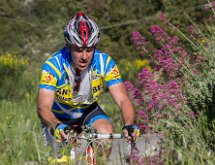 IMG 1500 : Mont Chauve 17 05 2015