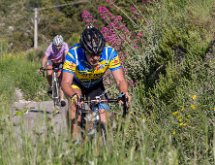 IMG 1505 : Mont Chauve 17 05 2015