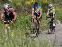 IMG 1510 : Mont Chauve 17 05 2015