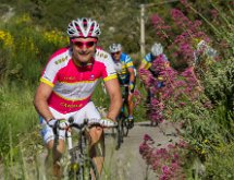 IMG 1521 : Mont Chauve 17 05 2015