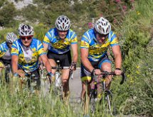 IMG 1523 : Mont Chauve 17 05 2015