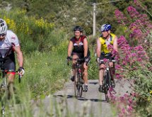 IMG 1529 : Mont Chauve 17 05 2015