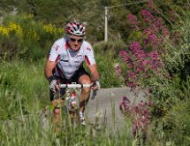 IMG 1534 : Mont Chauve 17 05 2015