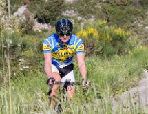 IMG 1543 : Mont Chauve 17 05 2015