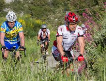 IMG 1544 : Mont Chauve 17 05 2015