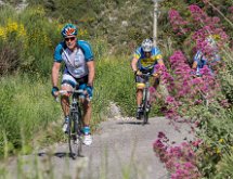 IMG 1559 : Mont Chauve 17 05 2015