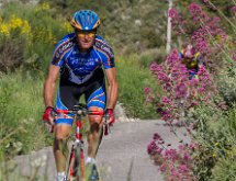 IMG 1564 : Mont Chauve 17 05 2015