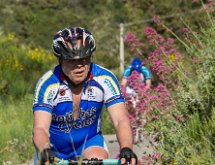 IMG 1576 : Mont Chauve 17 05 2015