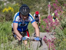 IMG 1706 : Mont Chauve 17 05 2015