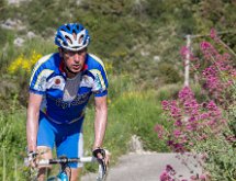 IMG 1716 : Mont Chauve 17 05 2015